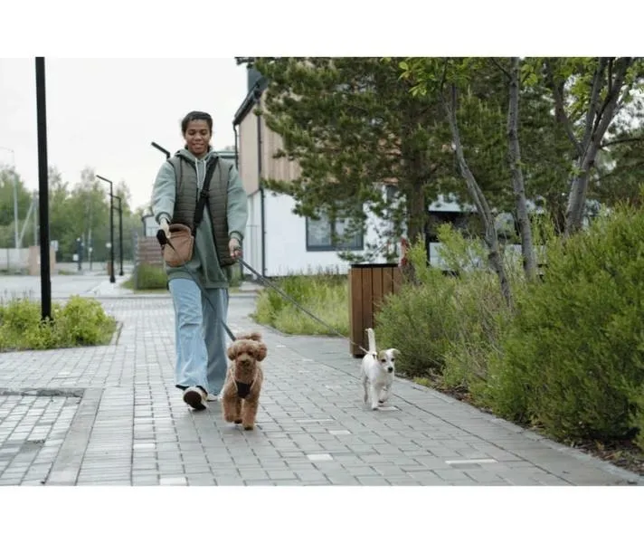 Petsitter – jak wybrać opiekuna, któremu bez obaw powierzysz pupila